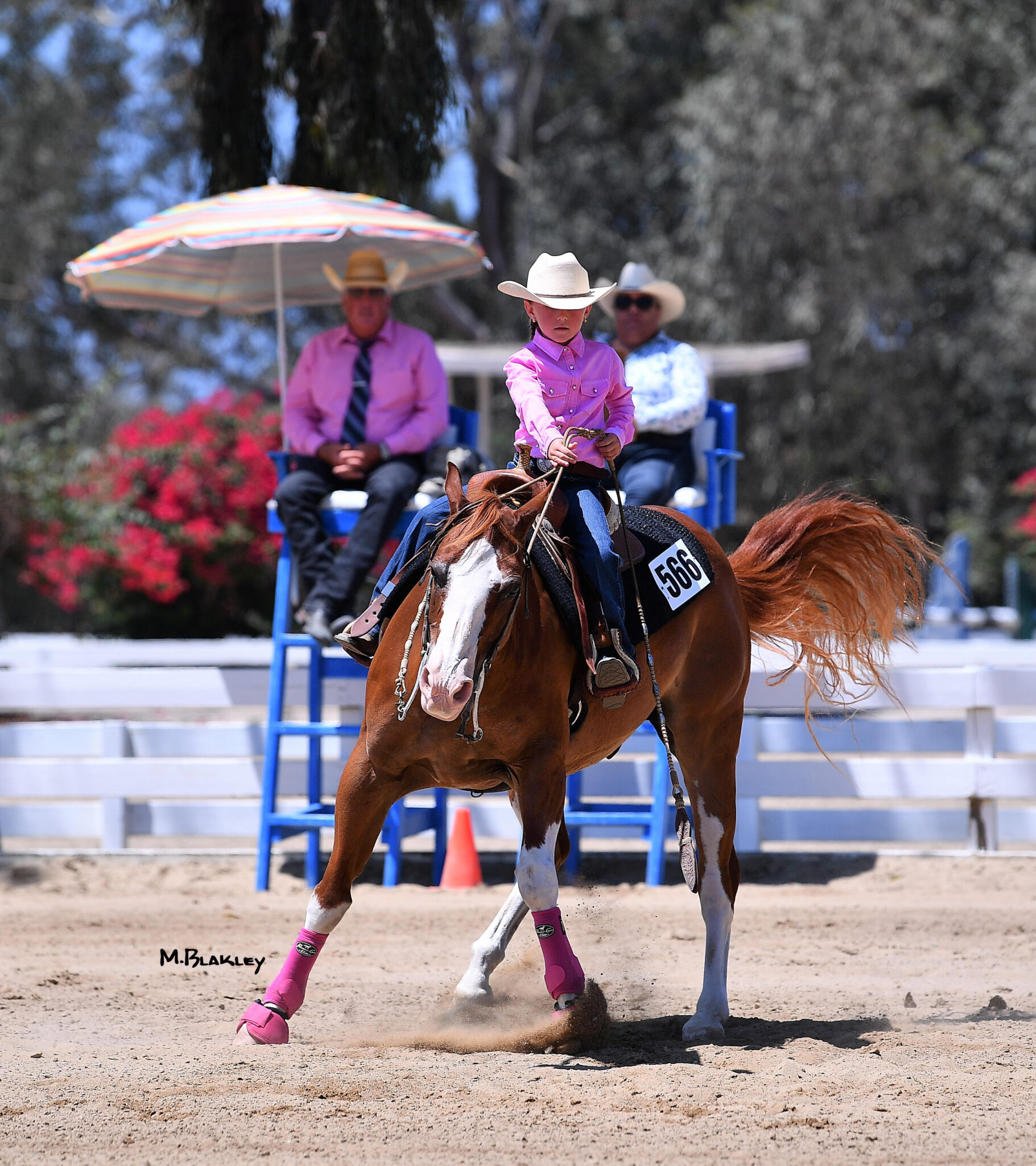 Gold Coast Horse Show Series – California Reining Horse Association